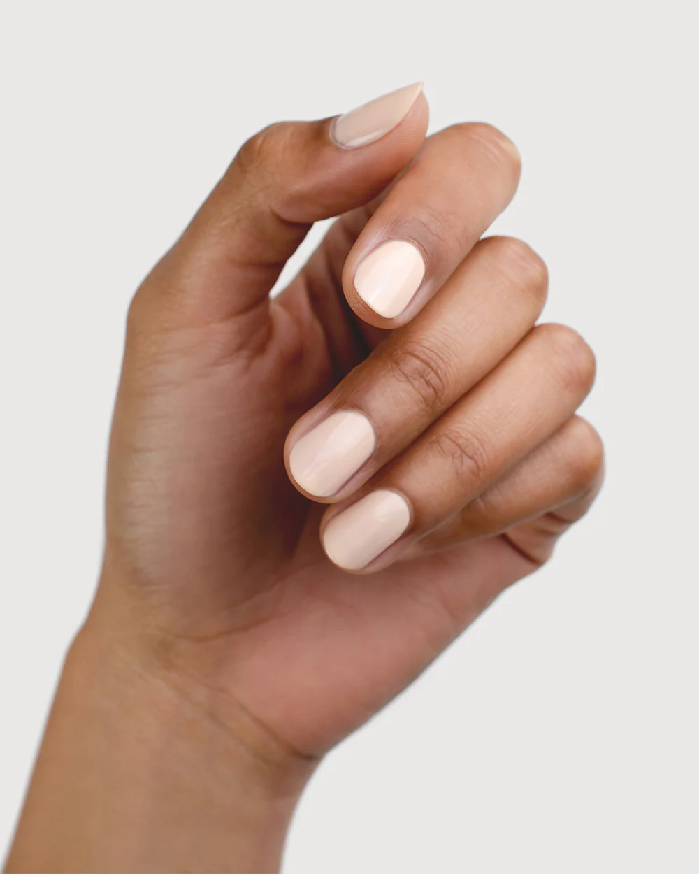 Enchantment Collection - Image 10