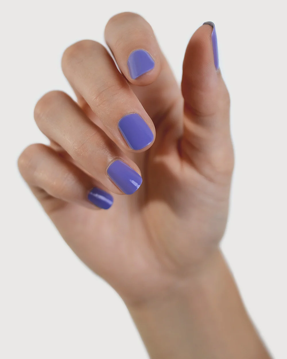 Gentle - Image 5